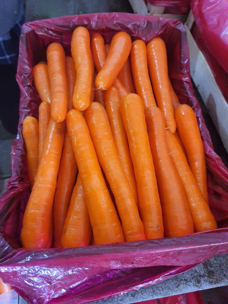 Carrot